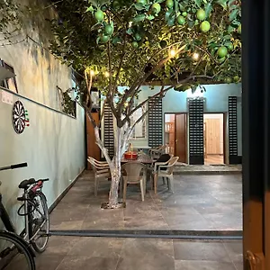  Auberge de jeunesse Lemon Breeze